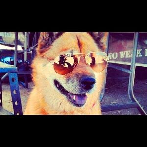 Meet your Posher, Cody